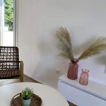 公寓 Cozy Palio PalaiónTsiflíkion